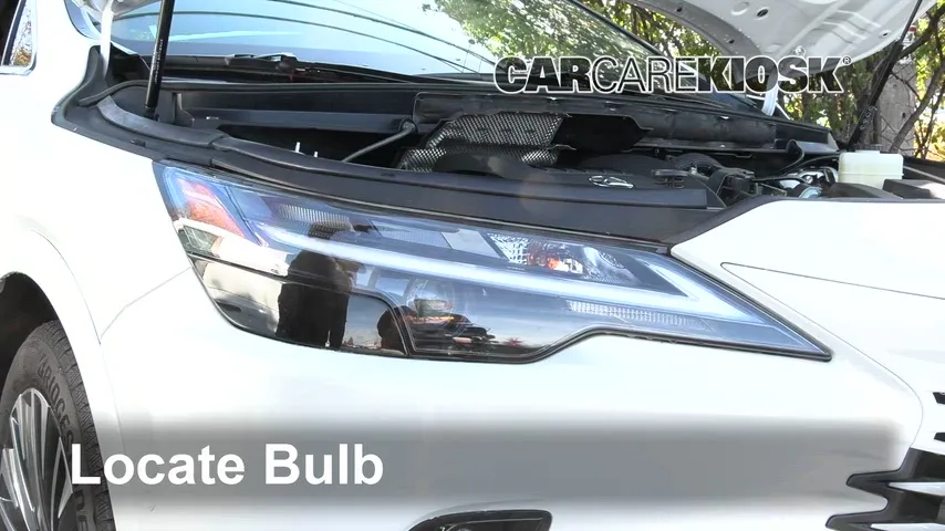 2024 Lexus RX350 2.4L 4 Cyl. Turbo Éclairage Feu clignotant avant (remplacer l'ampoule)